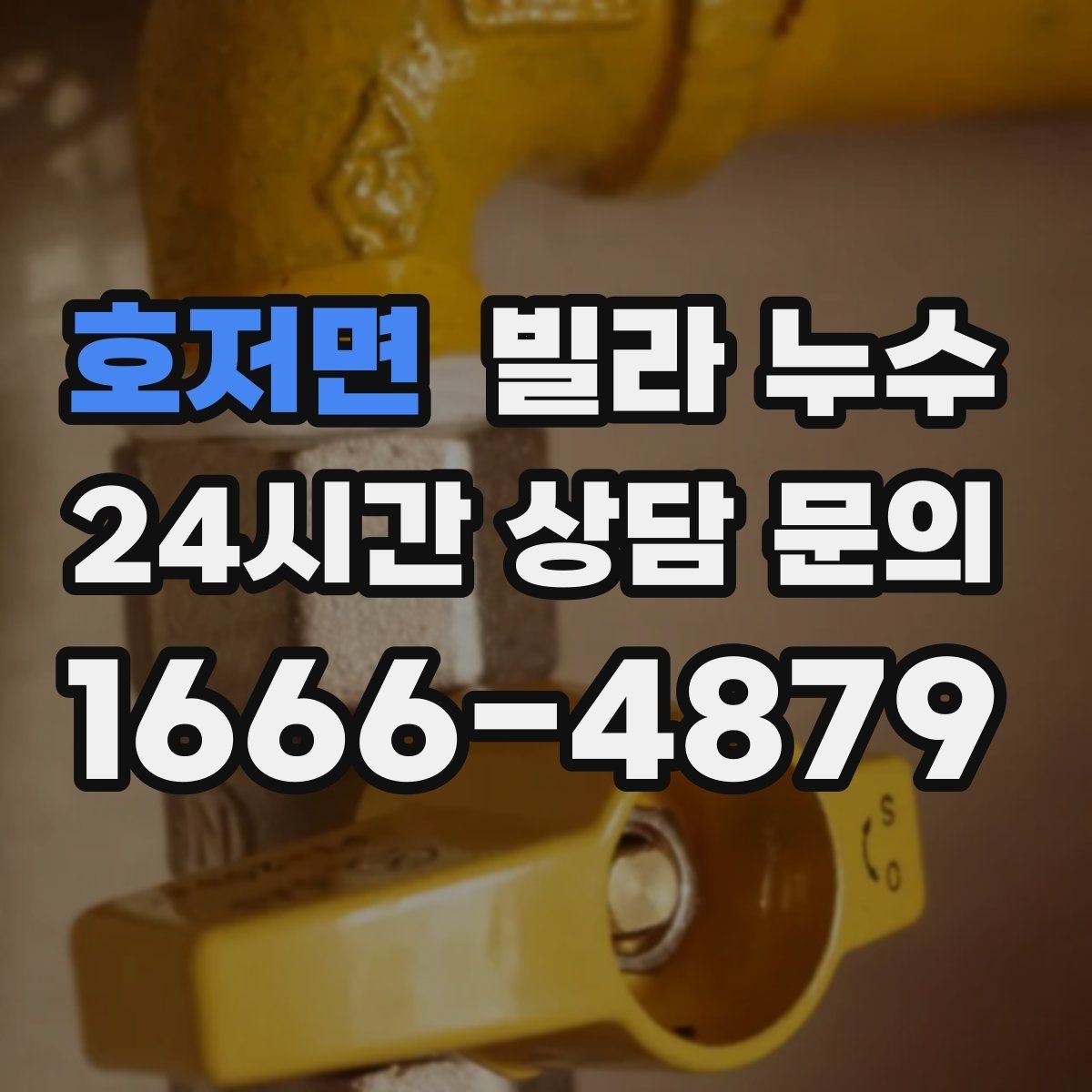 호저면 빌라 누수 우편함 주변이 젖는다면 빗물 유입을 의심