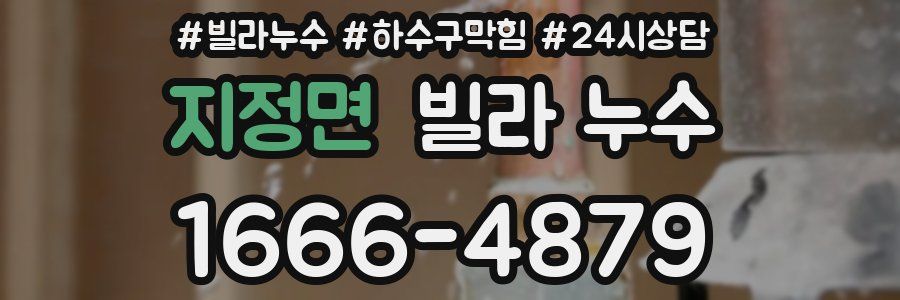 지정면 빌라 누수