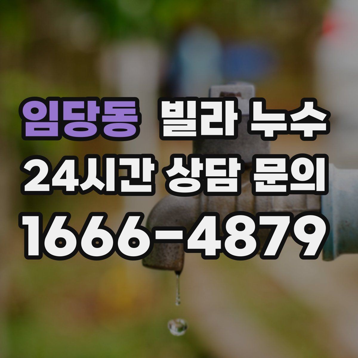 임당동 빌라 누수 누수는 원인부터 잡아야 끝납니다