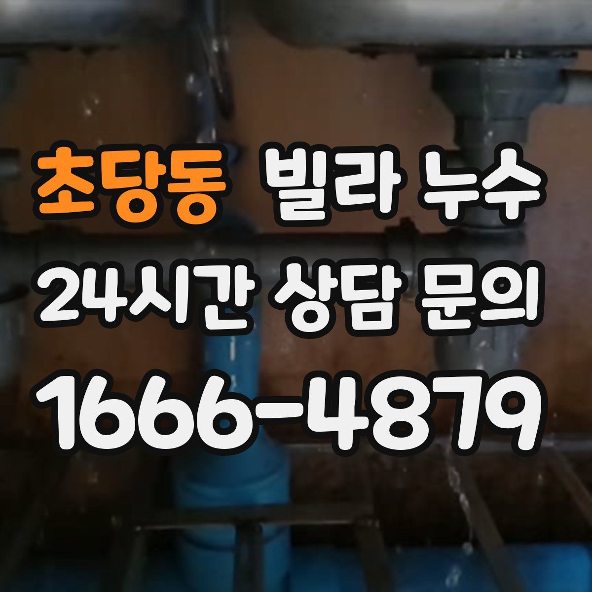 초당동 빌라 누수