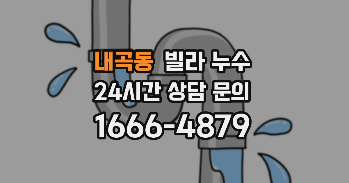 내곡동 빌라 누수