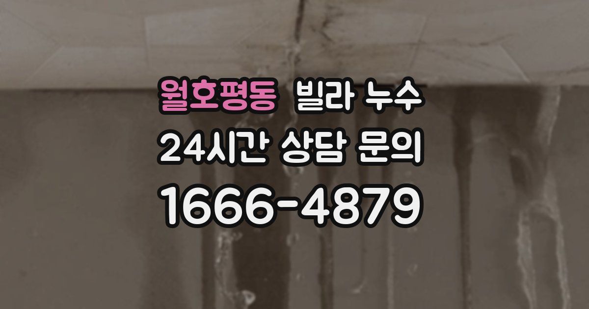 월호평동 빌라 누수