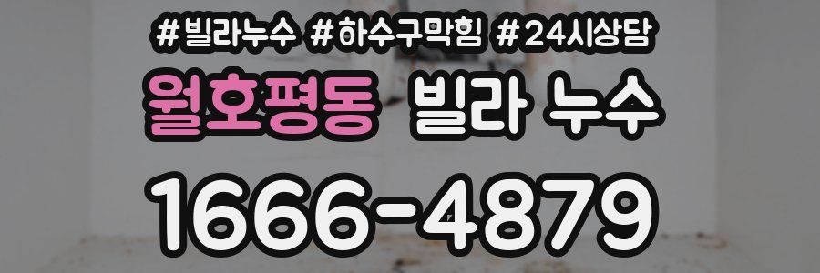 월호평동 빌라 누수