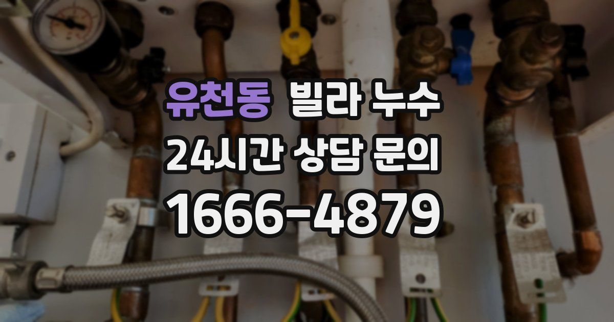 유천동 빌라 누수