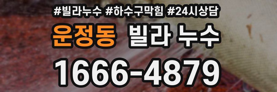 운정동 빌라 누수