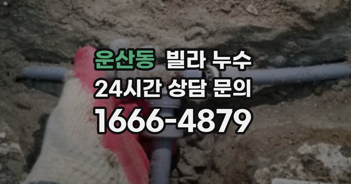 운산동 빌라 누수