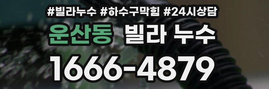 운산동 빌라 누수