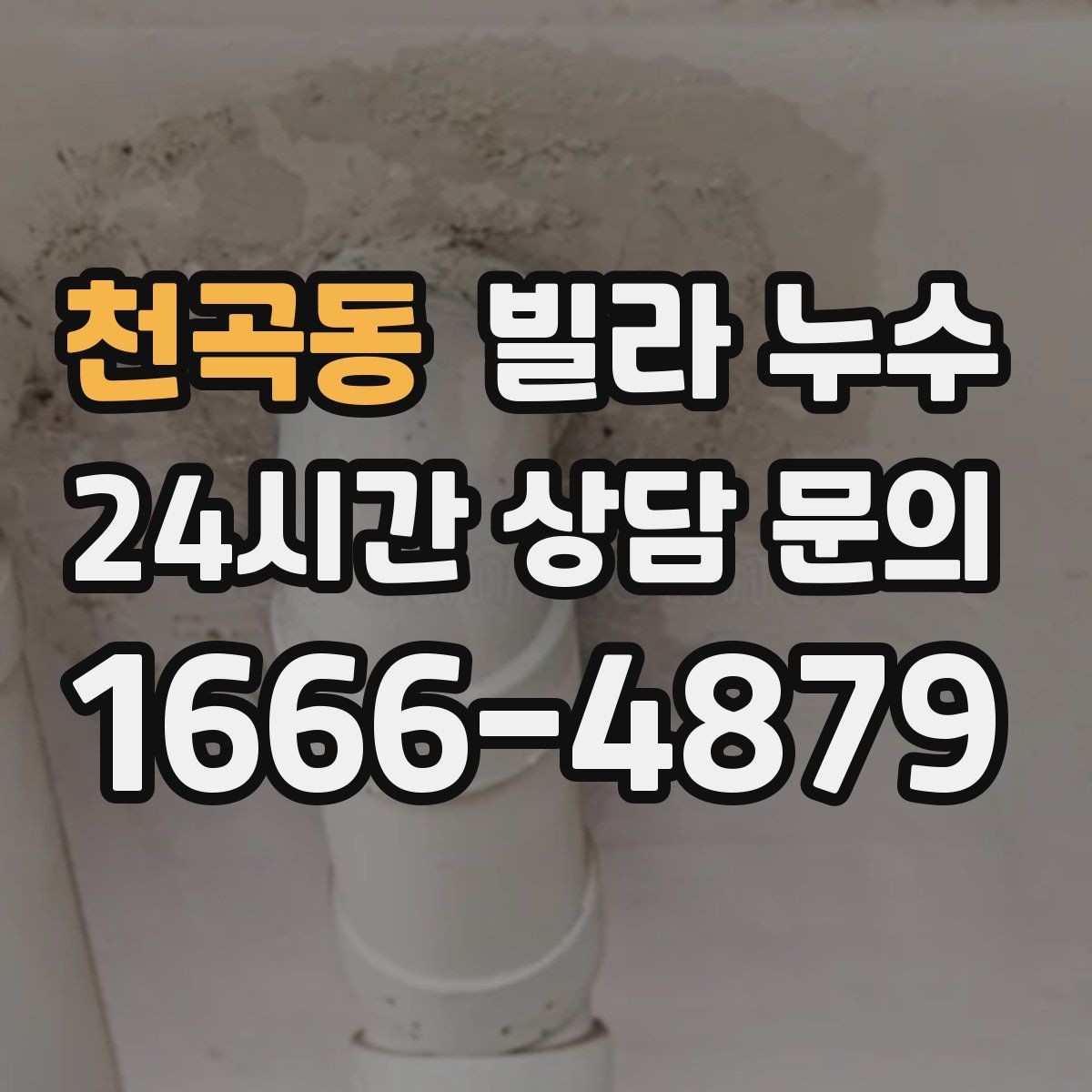 천곡동 빌라 누수 세탁실 바닥 배수구가 넘칠 때 대처