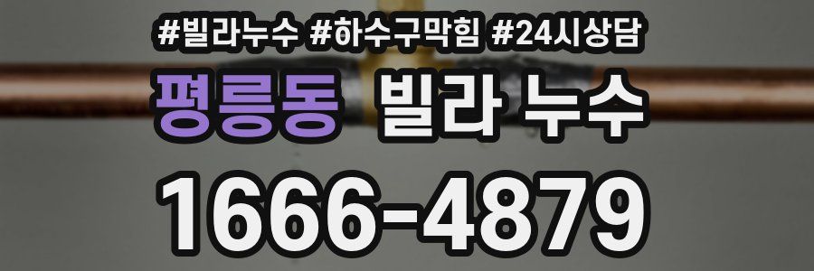 평릉동 빌라 누수