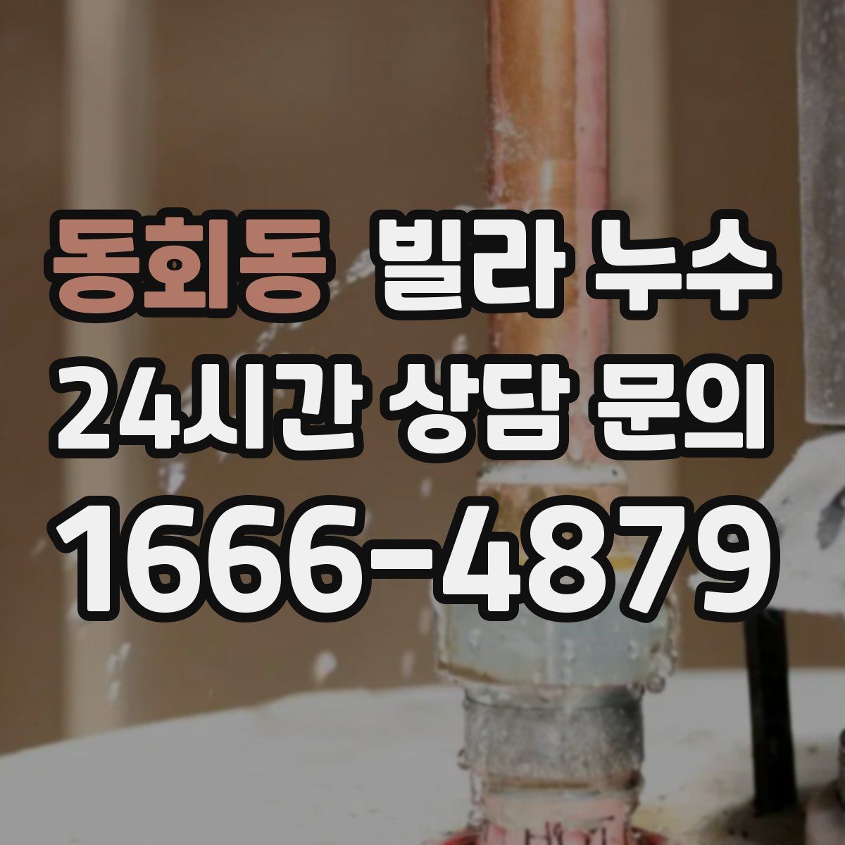 동회동 빌라 누수