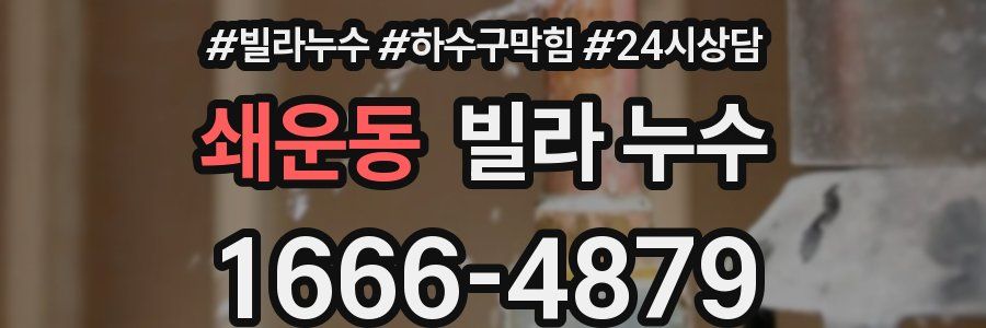 쇄운동 빌라 누수