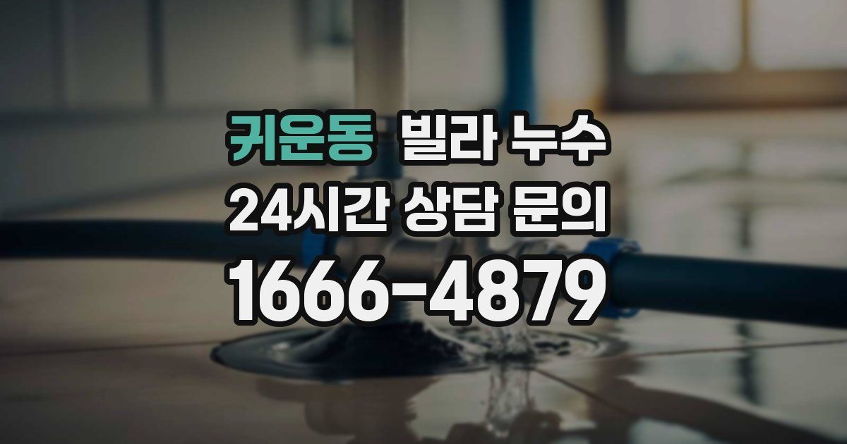 귀운동 빌라 누수