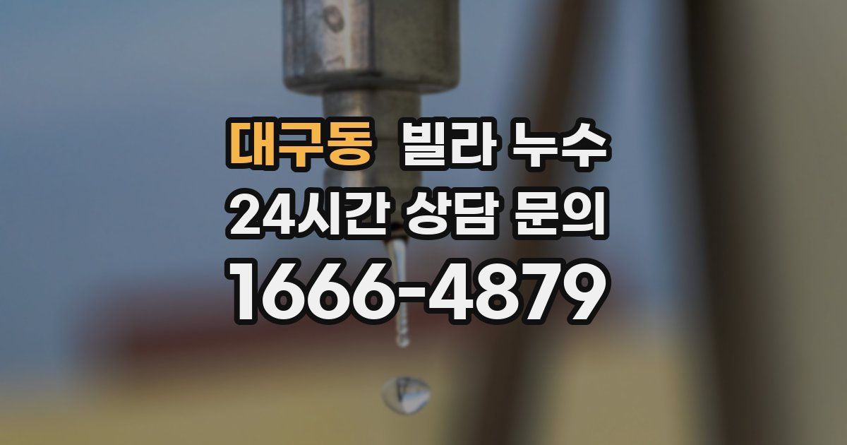 대구동 빌라 누수