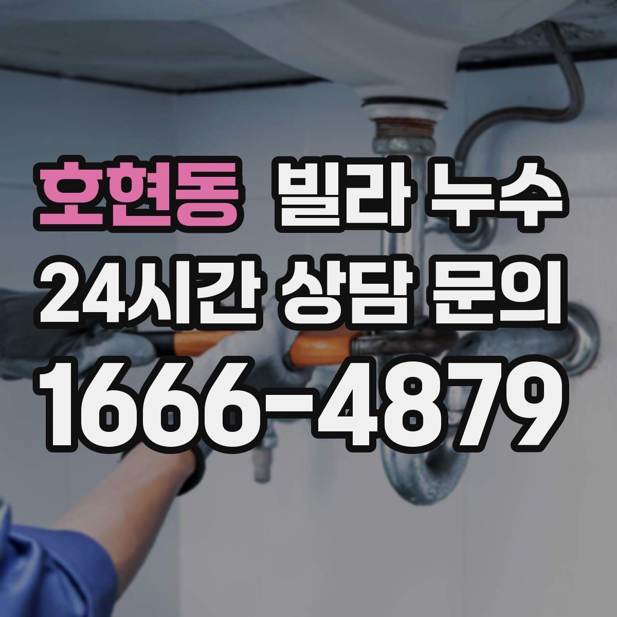 호현동 빌라 누수 배수구 트랩 주변 물기와 악취가 반복될 때