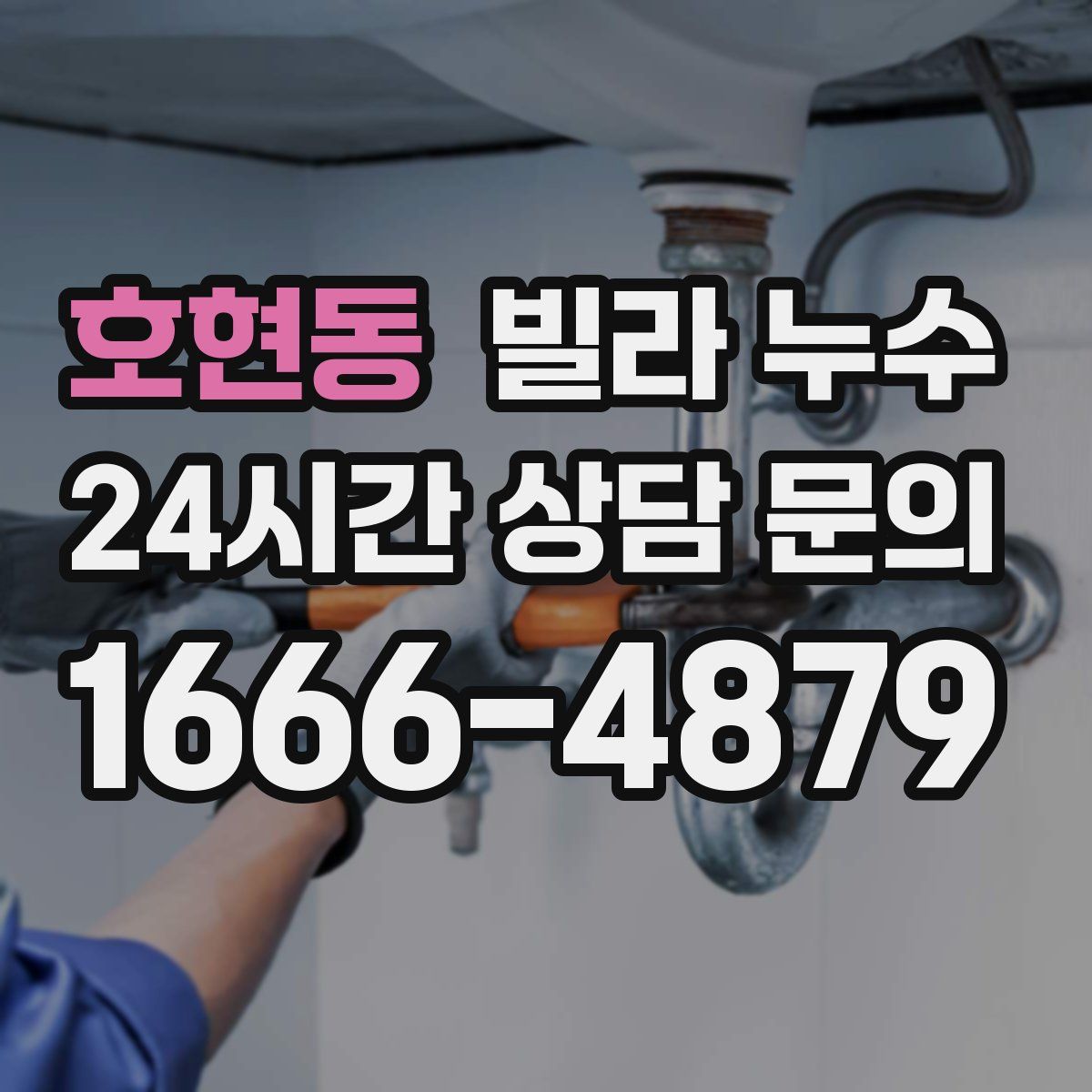 호현동 빌라 누수