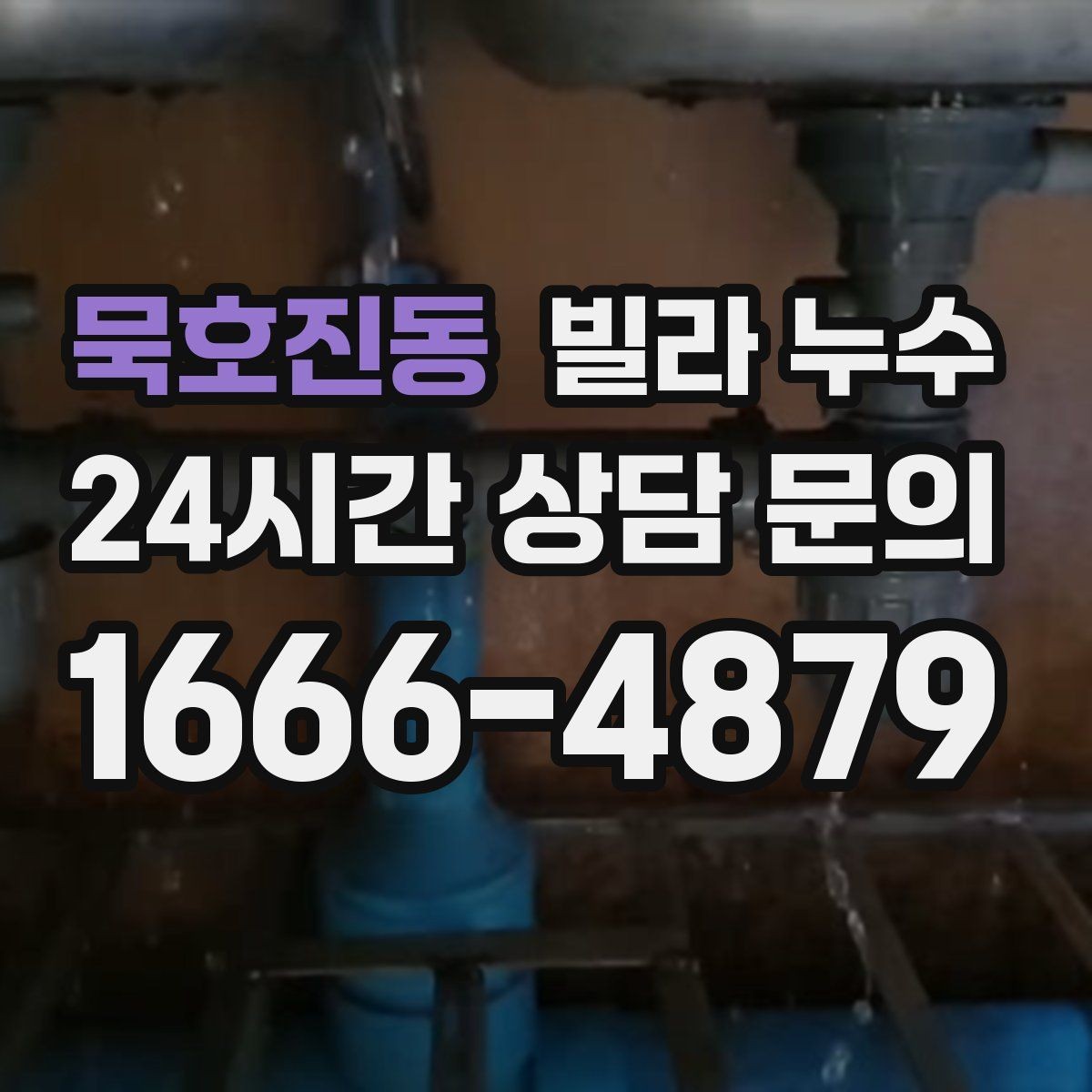 묵호진동 빌라 누수 방바닥이 차갑게 젖는 느낌이 들 때