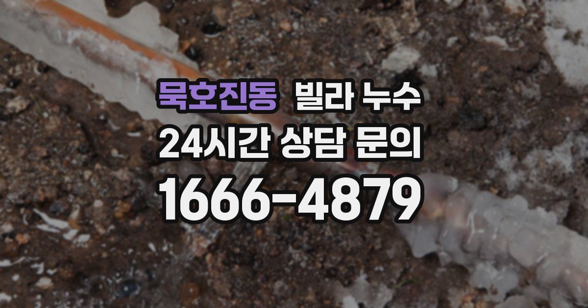 묵호진동 빌라 누수