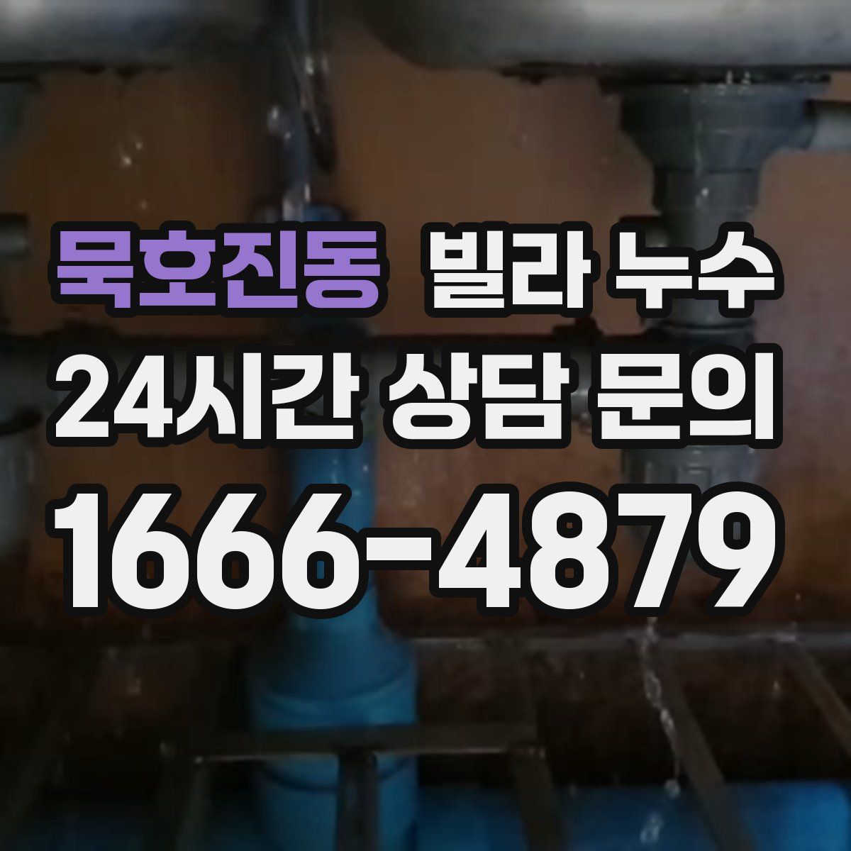 묵호진동 빌라 누수