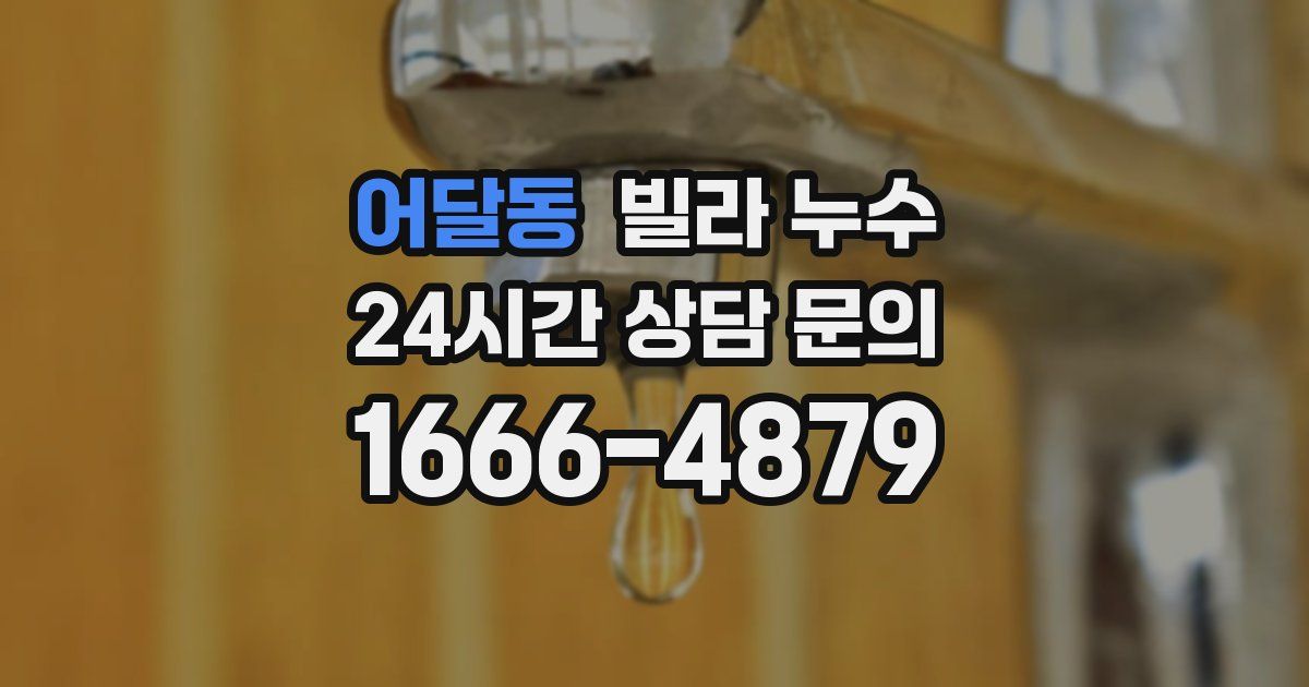 어달동 빌라 누수