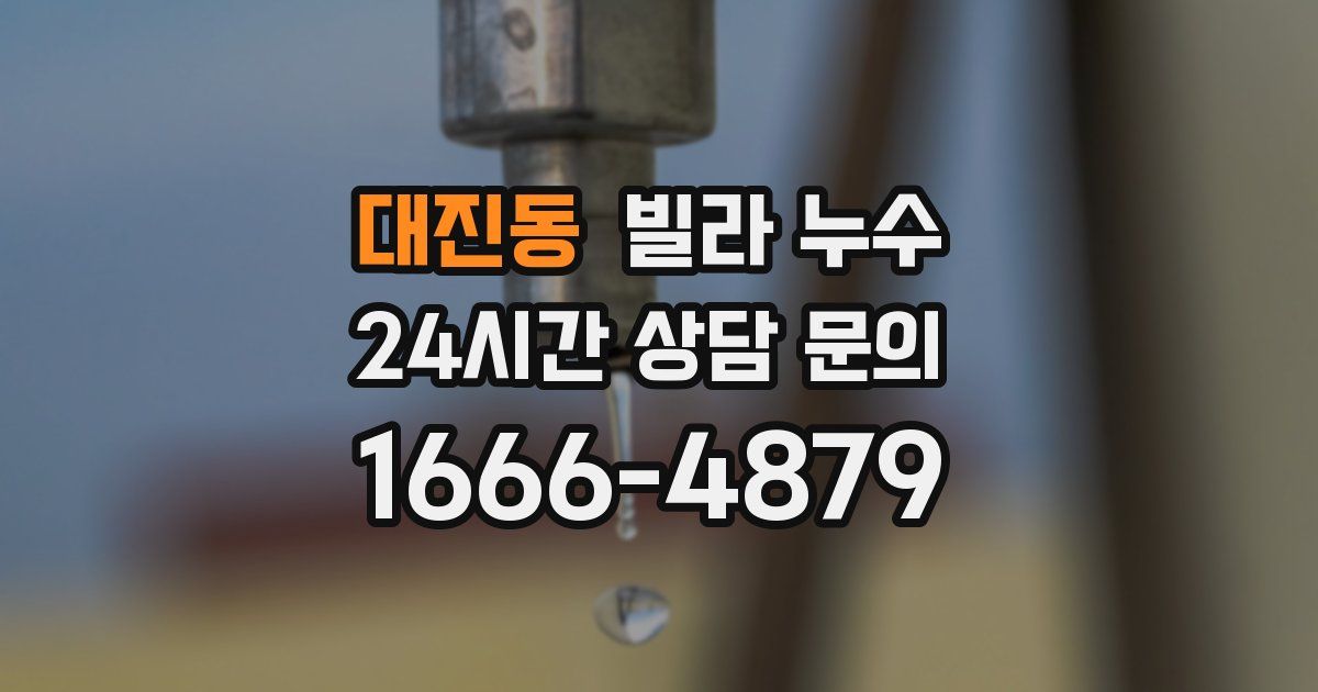 대진동 빌라 누수
