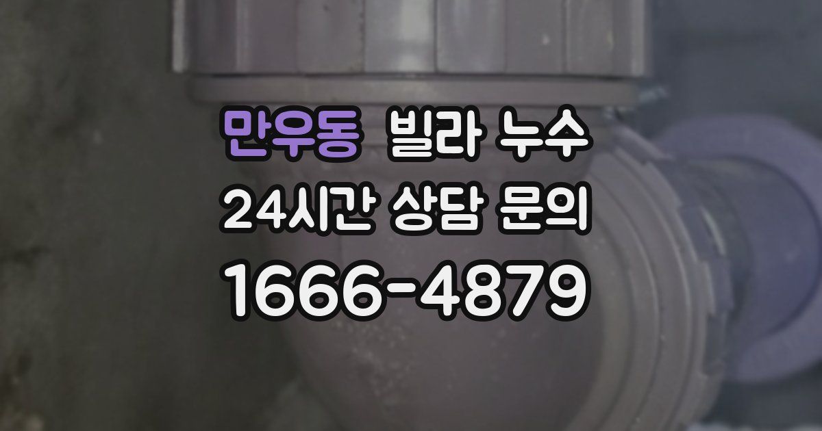 만우동 빌라 누수