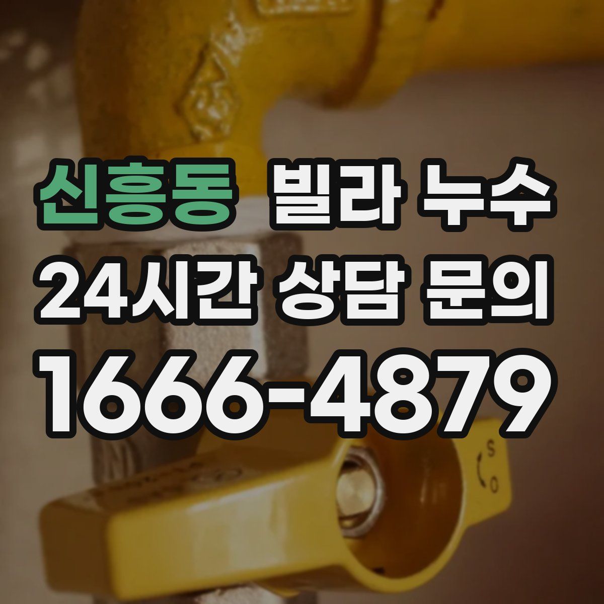 신흥동 빌라 누수