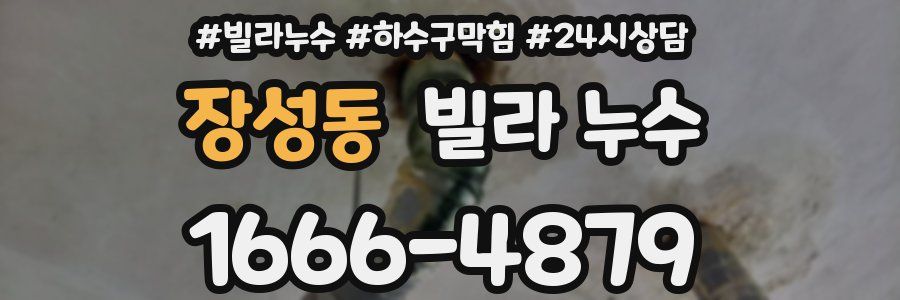 장성동 빌라 누수