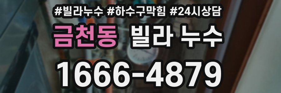 금천동 빌라 누수