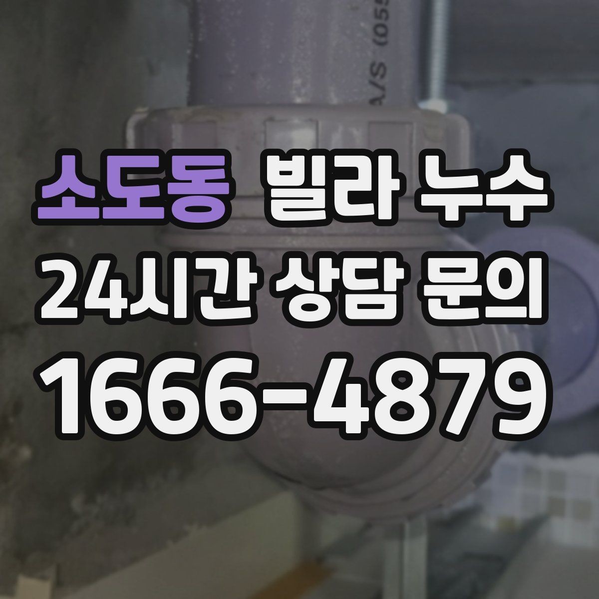 소도동 빌라 누수 누수 해결 후 건조가 중요한 이유