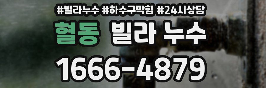 혈동 빌라 누수