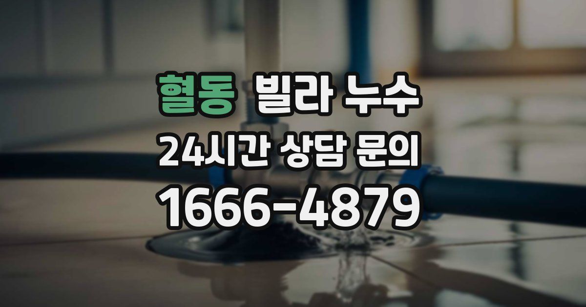 혈동 빌라 누수