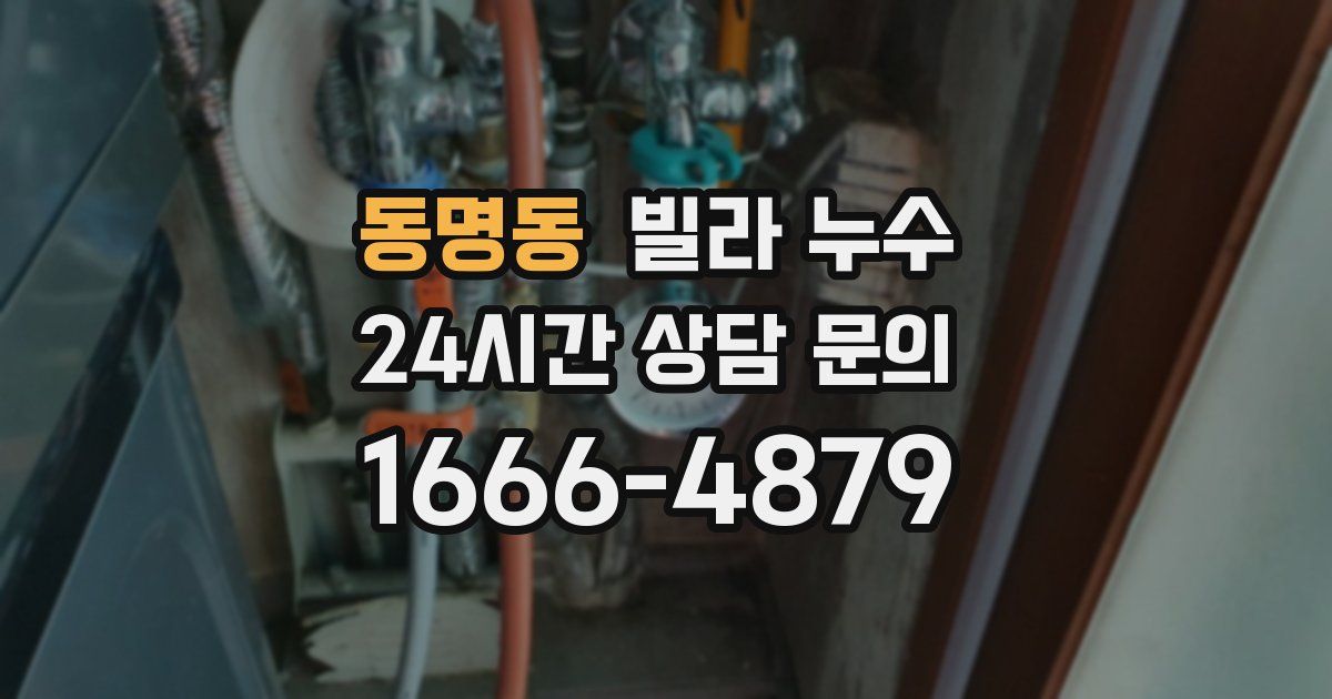 동명동 빌라 누수