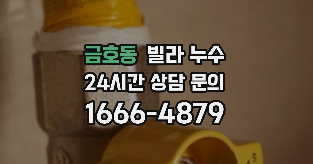 금호동 빌라 누수