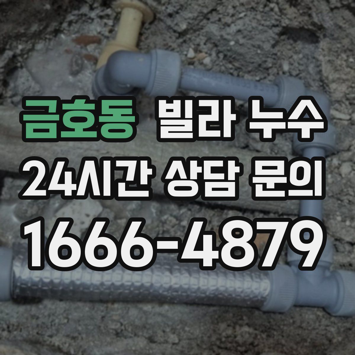 금호동 빌라 누수