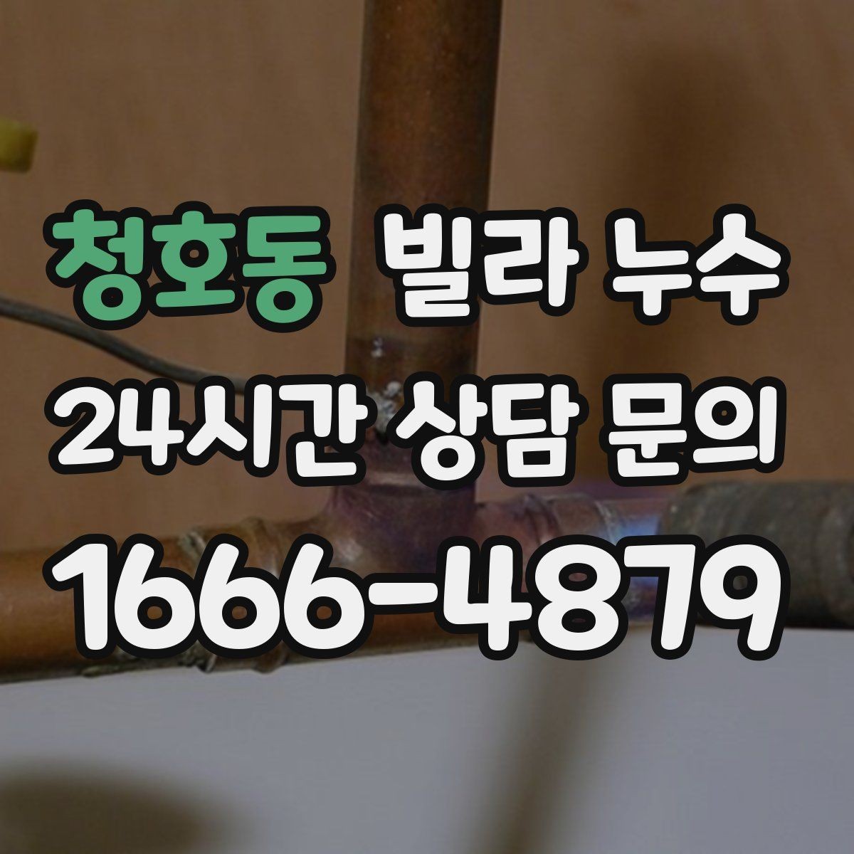 청호동 빌라 누수 주방 쪽 벽이 젖는다면 배관 가능성