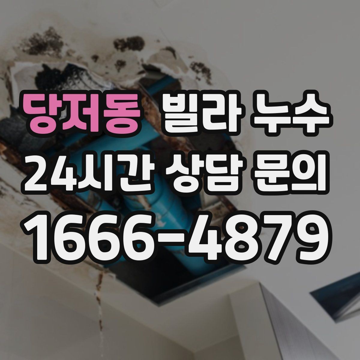 당저동 빌라 누수 벽 모서리 검은 점이 늘면 누수도 의심