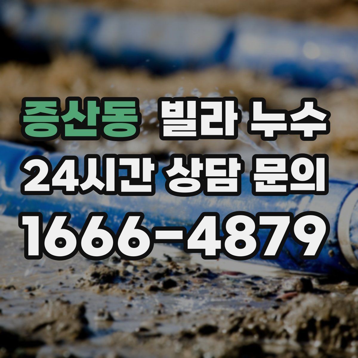 증산동 빌라 누수 오늘 바로 점검이 필요한 대표 증상