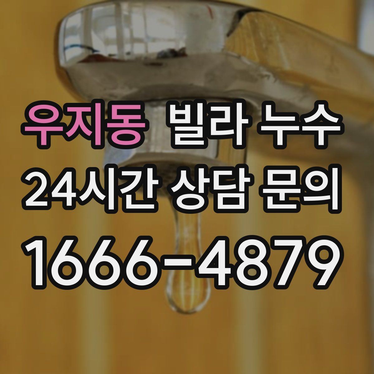 우지동 빌라 누수 세탁실 배수구가 넘치면 누수처럼 보일 수 있어요