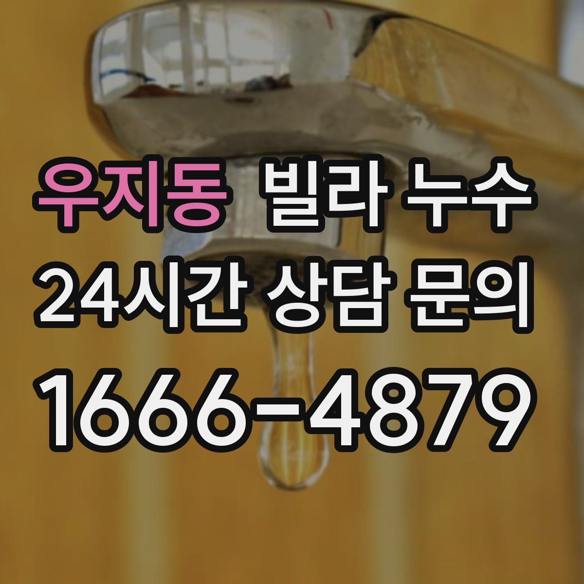 우지동 빌라 누수