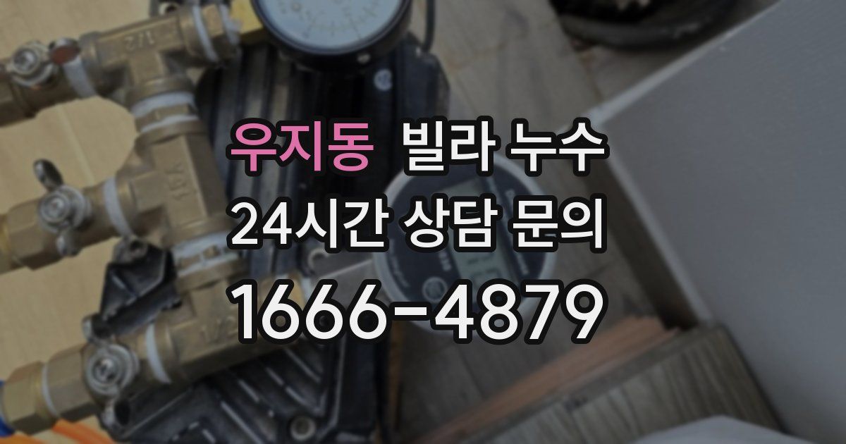 우지동 빌라 누수