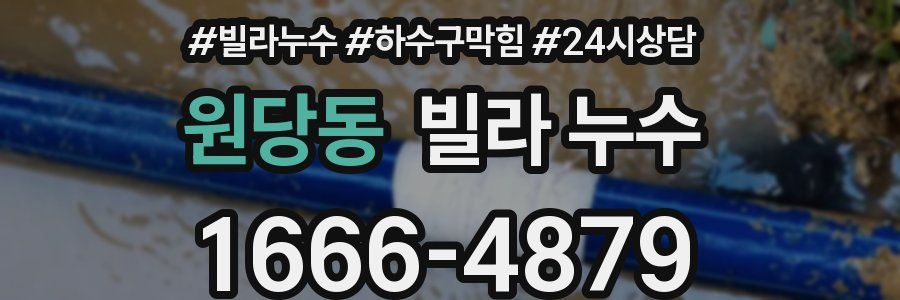 원당동 빌라 누수