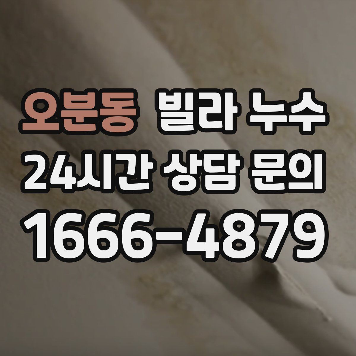 오분동 빌라 누수 환기해도 마르지 않는 벽은 왜 그럴까