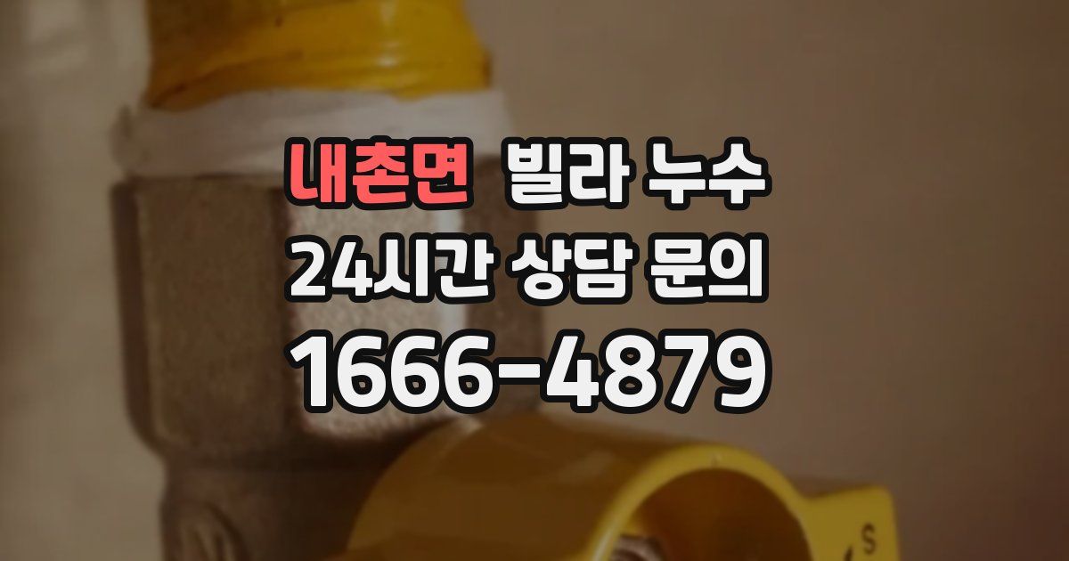 내촌면 빌라 누수