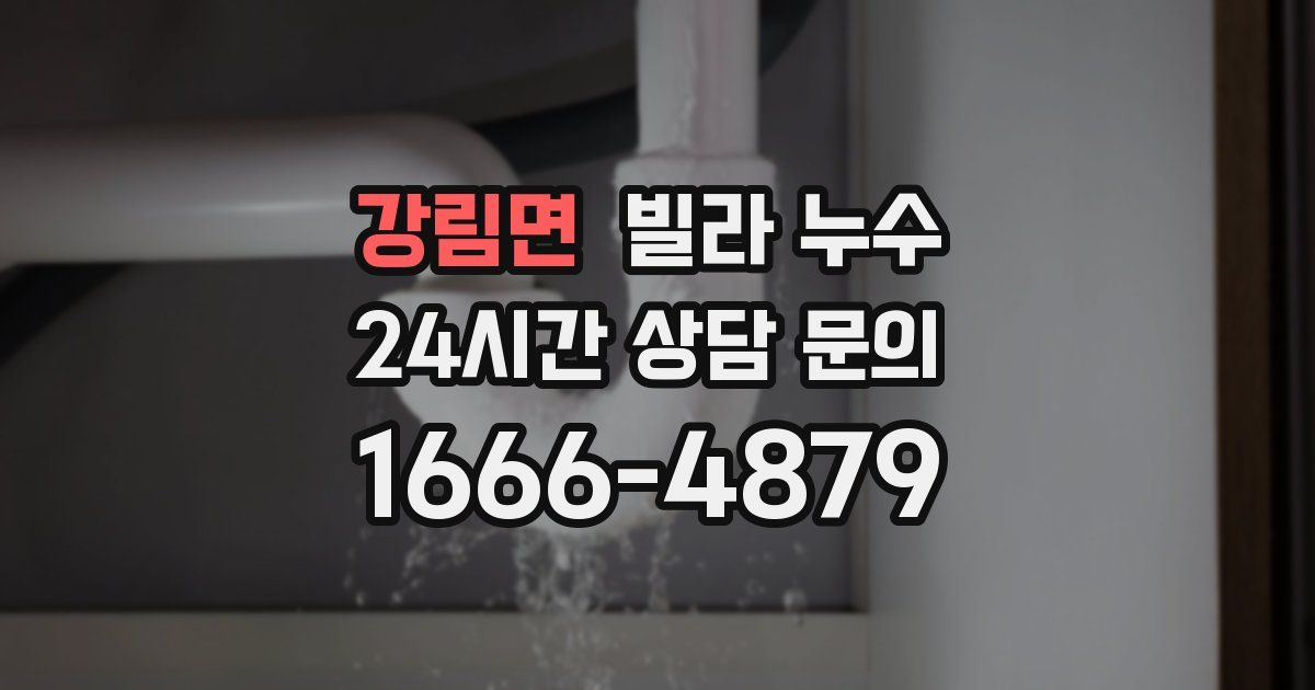 강림면 빌라 누수