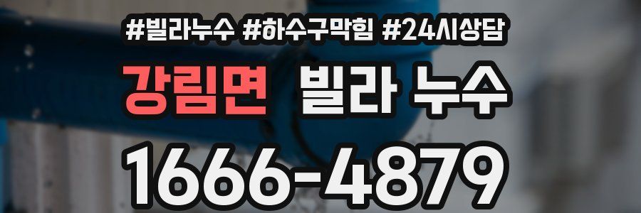 강림면 빌라 누수