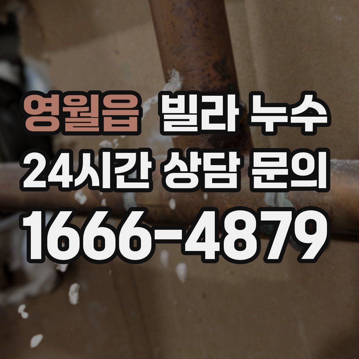 영월읍 빌라 누수