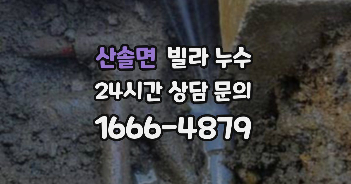 산솔면 빌라 누수