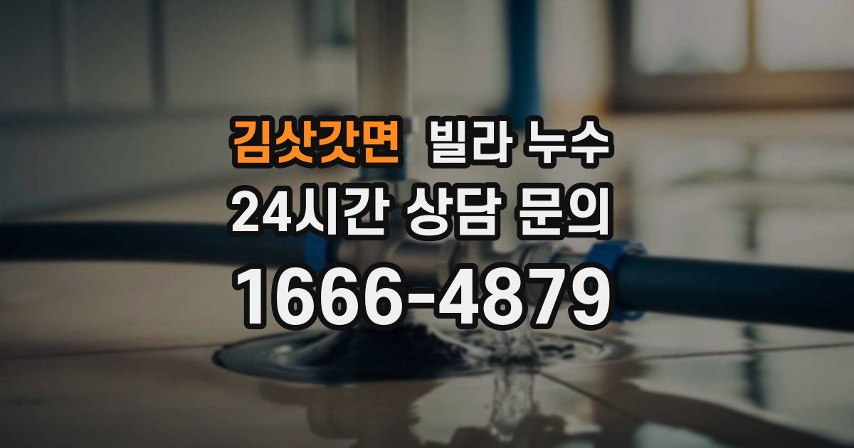 김삿갓면 빌라 누수