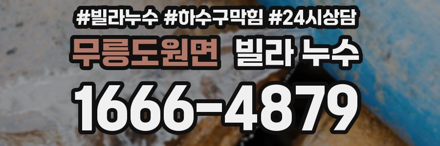 무릉도원면 빌라 누수