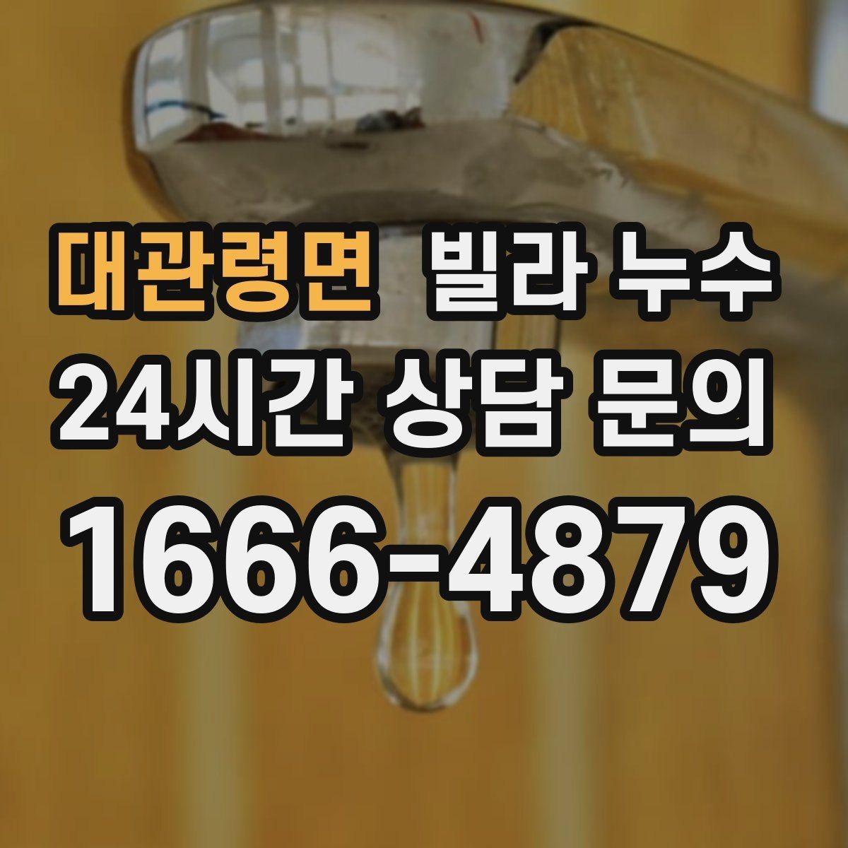 대관령면 빌라 누수 가구 뒤 벽이 젖어 곰팡이가 생길 때